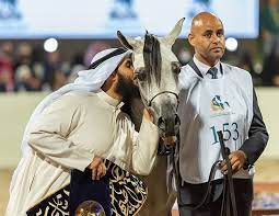 Kuwait Arabian horse beauty championships 2022